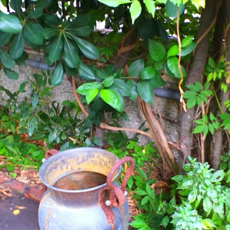 Ferienwohnung Un Giardino A Due Passi Dal Mare La Spezia Exterior foto